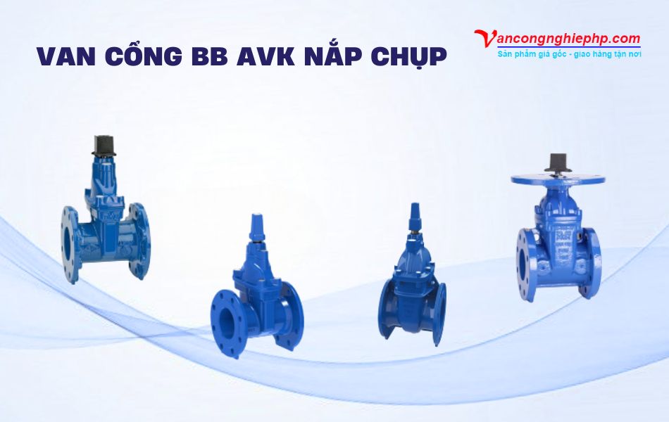 Van cổng BB AVK nắp chụp