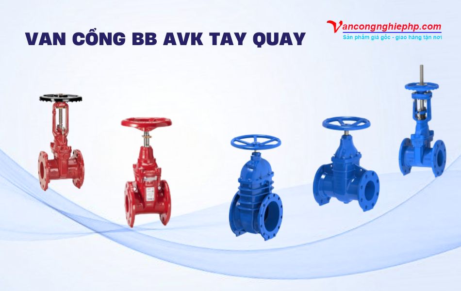 Van cổng BB AVK tay quay