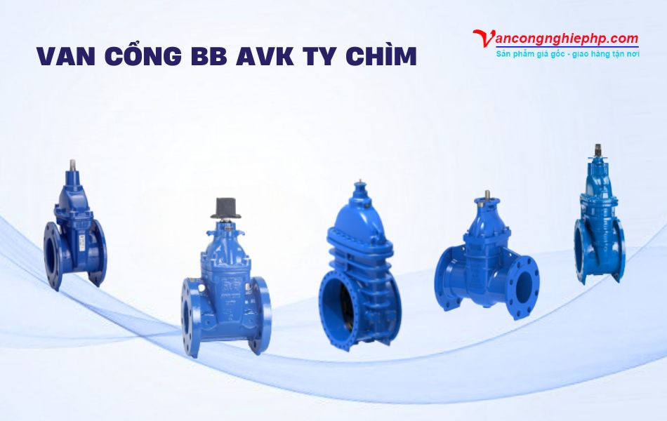 Van cổng BB AVK ty chìm