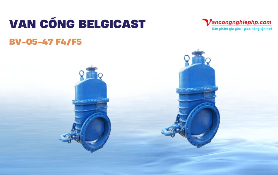 Van cổng BELGICAST BV-05-47 F4/F5