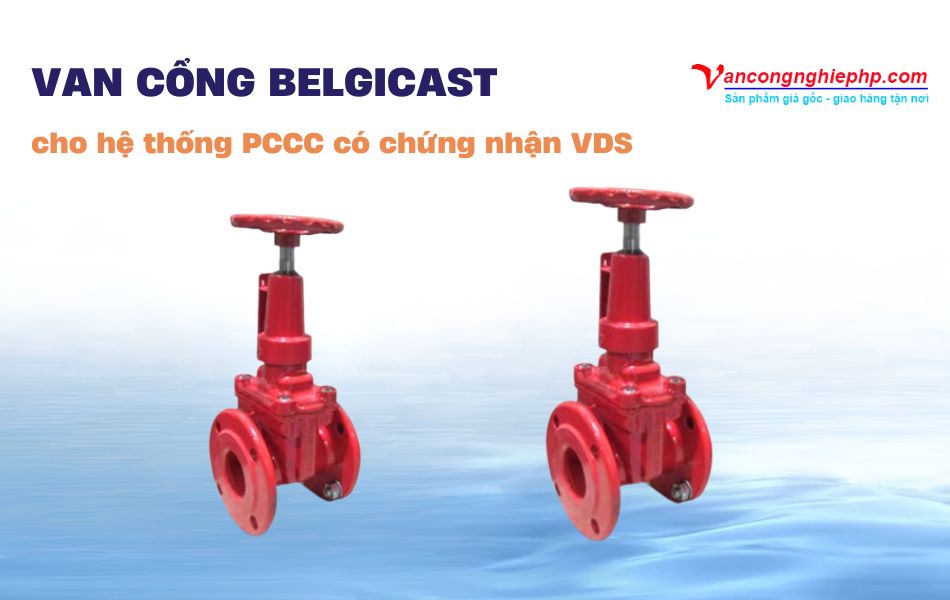 Van cổng BELGICAST cho hệ thống PCCC có chứng nhận VDS