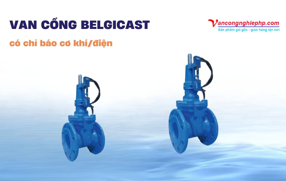 Van cổng BELGICAST có chỉ báo cơ khí/điện