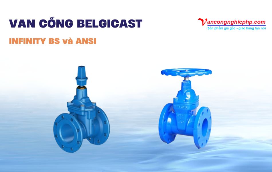 Van cổng BELGICAST INFINITY BS và ANSI