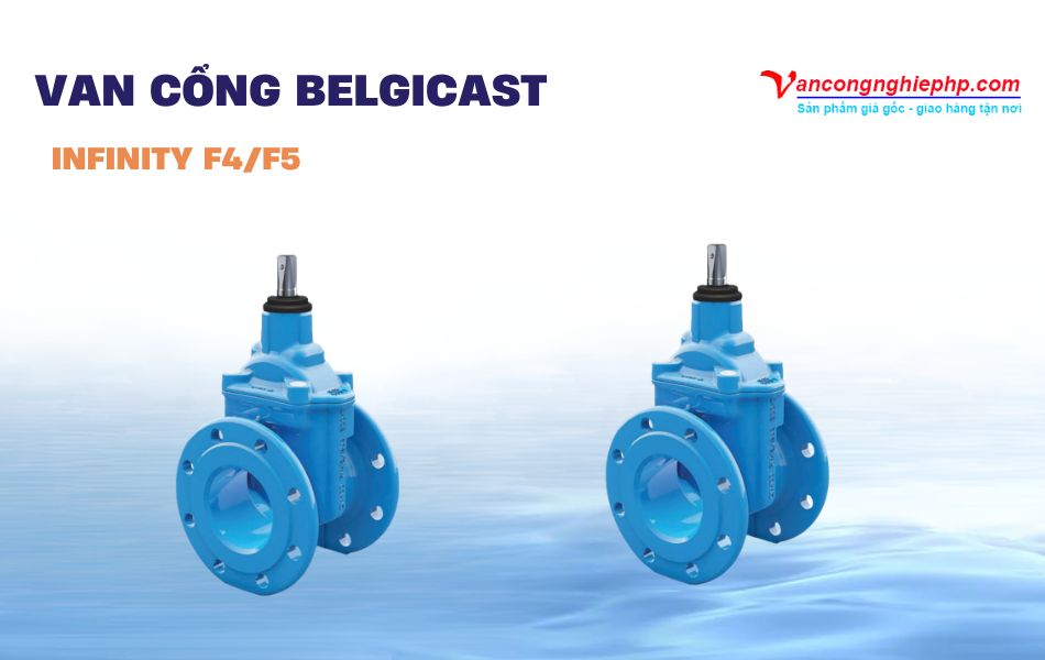 Van cổng BELGICAST INFINITY F4/F5