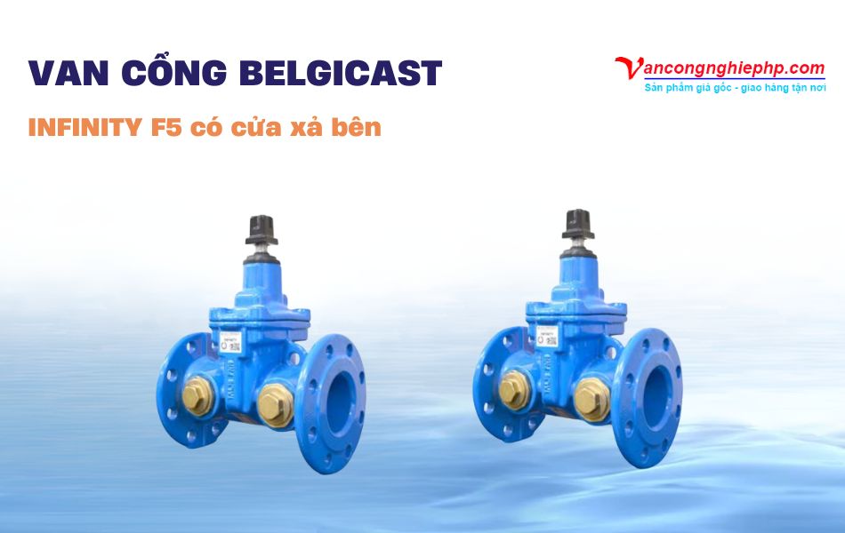 Van cổng BELGICAST INFINITY F5 có cửa xả bên