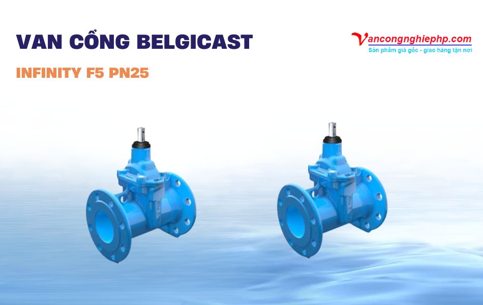 Van cổng BELGICAST INFINITY F5 PN25