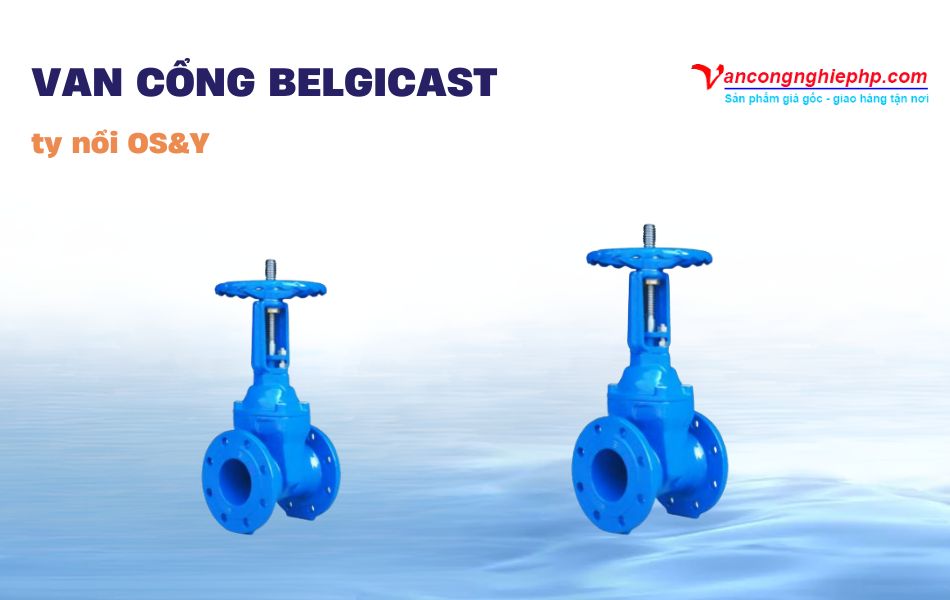 Van cổng BELGICAST ty nổi OS&Y