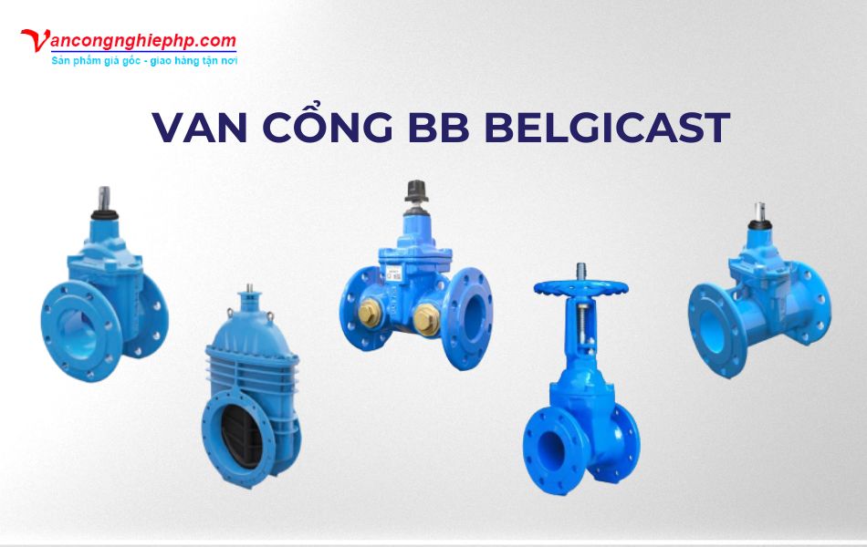Van cổng BB BELGICAST
