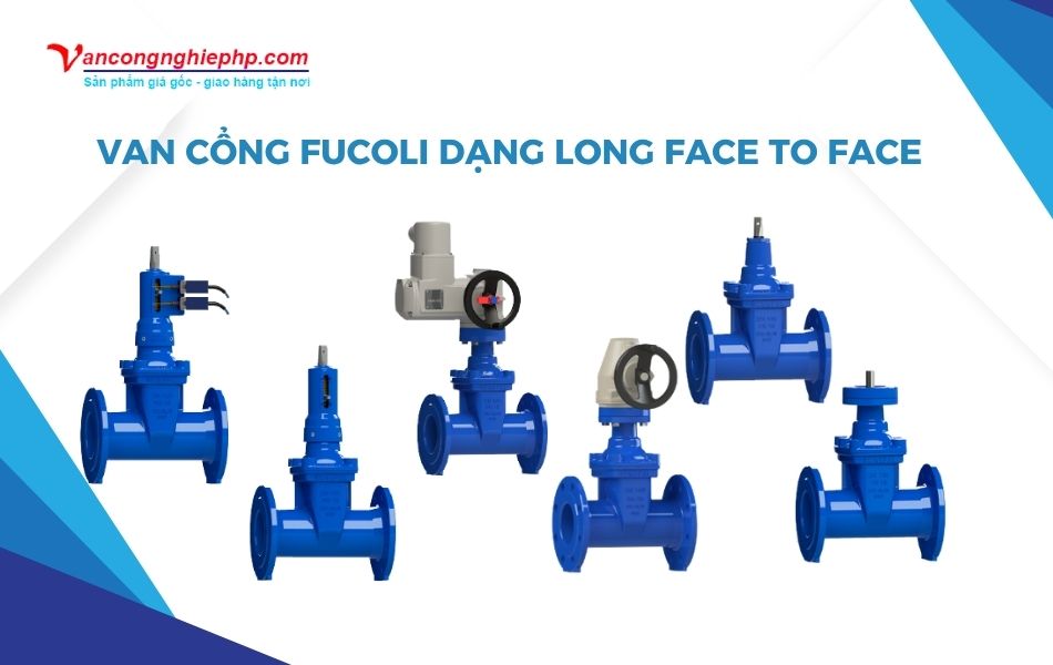 Van cổng BB Fucoli dạng Long Face to Face