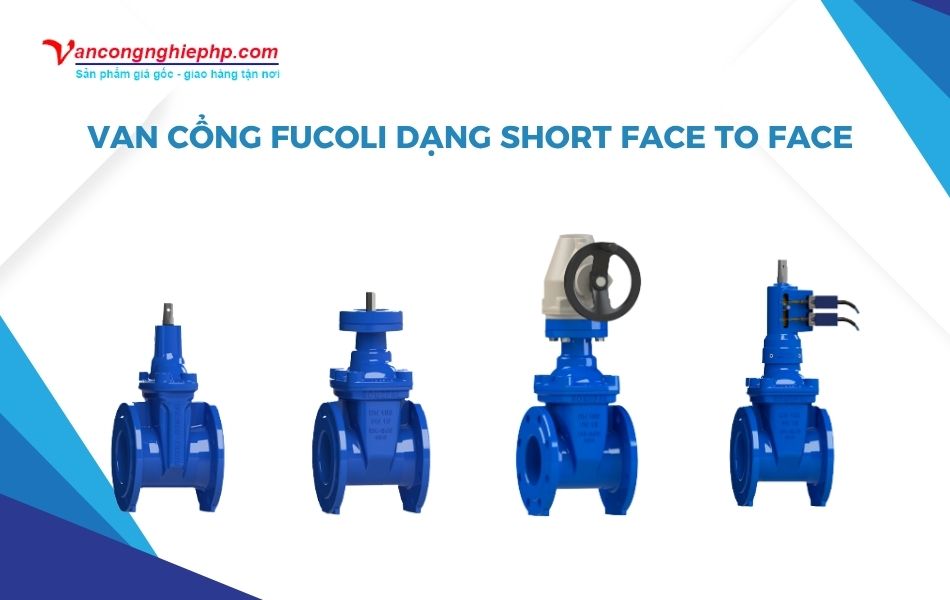 Van cổng BB Fucoli dạng Short Face to Face