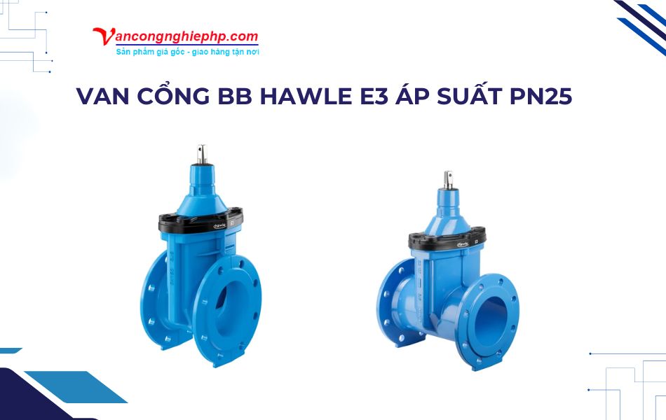 Van cổng BB Hawle E3 áp suất PN25
