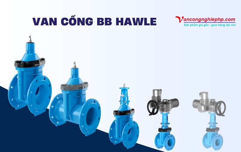Van cổng BB Hawle