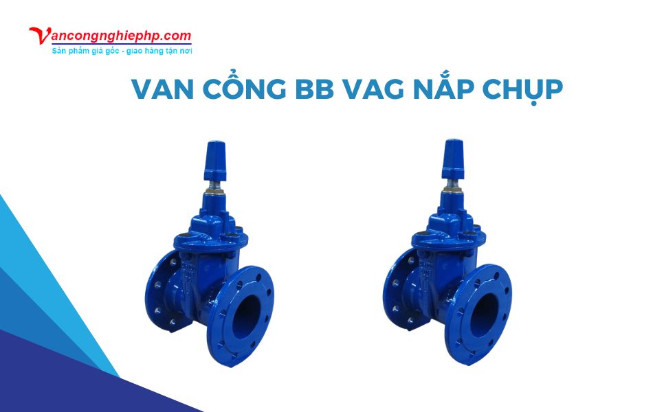 Van cổng BB VAG nắp chụp