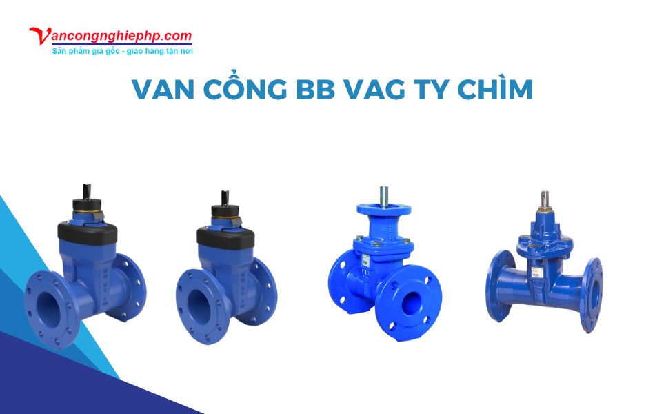 Van cổng BB VAG ty chìm