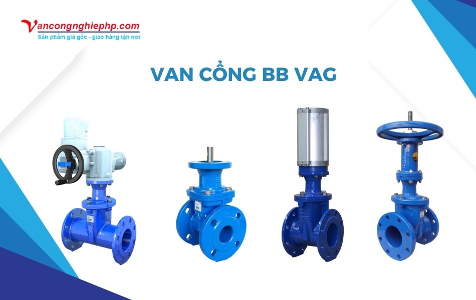 Van cổng BB VAG