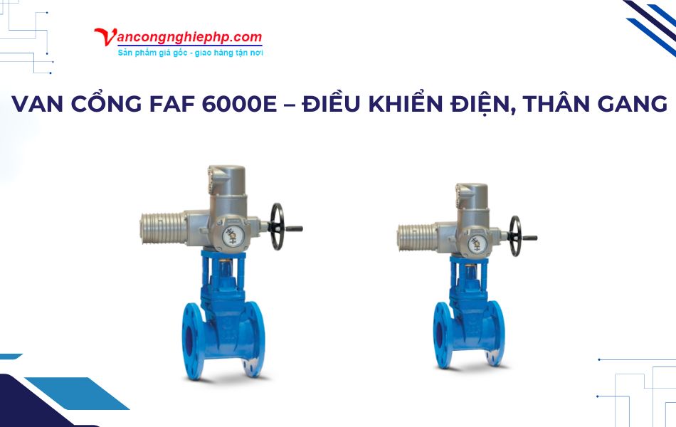 Van cổng BB FAF - Model FAF 6000E