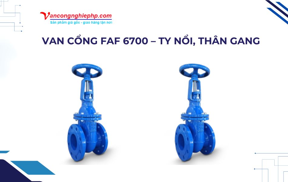 Van cổng BB FAF - Model FAF 6700