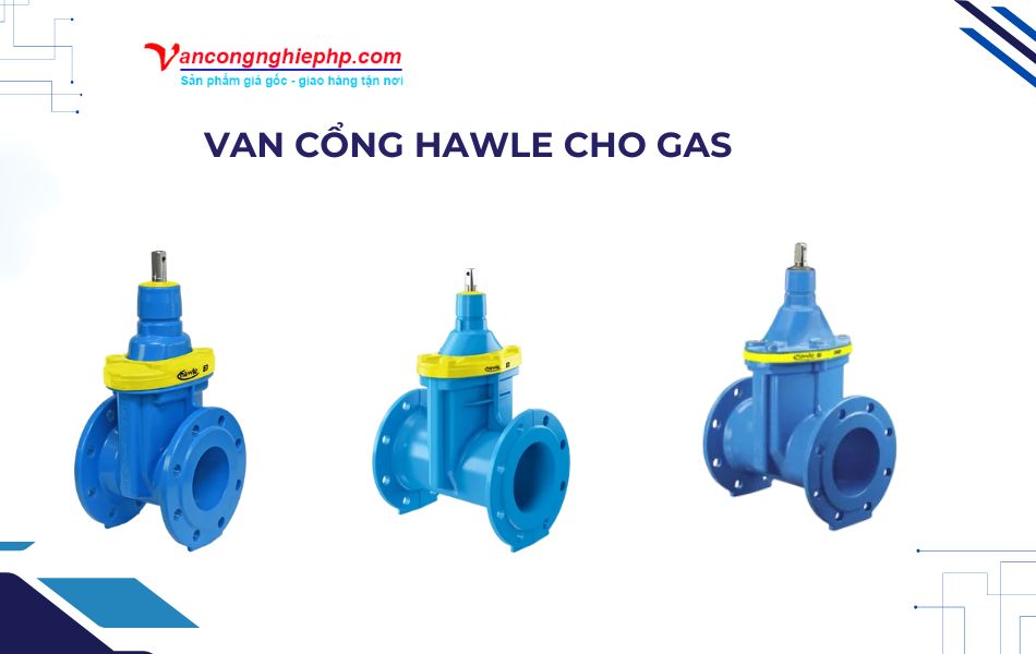 Van cổng Hawle cho gas